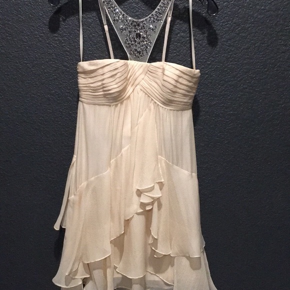 BCBG Max Azria Blush Jeweled Dress - Picture 3 of 5